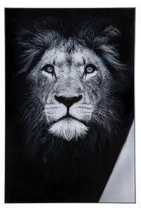 Lion Picture Acrylic Wall Art In Black And White