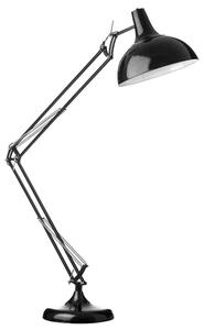 Coldin Metal Adjustable Study Floor Lamp In Black