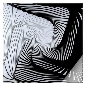 Graphic Picture Acrylic Wall Art In Black And White