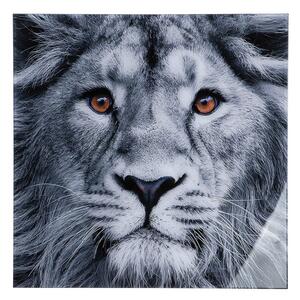 Lion Head Picture Acrylic Wall Art In Black And White