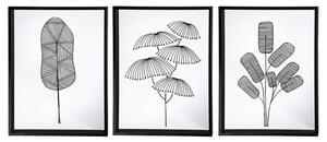 Plants Picture Set Of 3 Glass Wall Art In Black And White