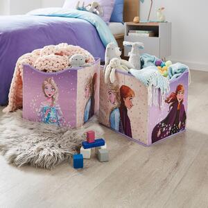 Set of 2 Frozen Storage Cubes