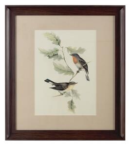 Agatiyo Framed Birds 2 Wall Art In Multi Coloured