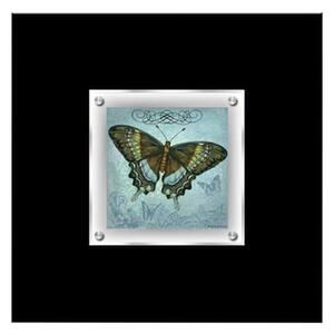 Agatiyo Decorative Butterfly 1 Wall Art Frame In Multicolor