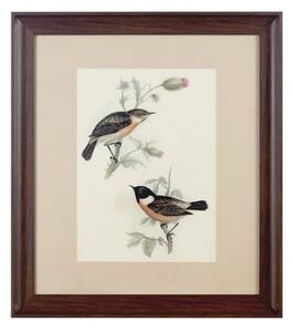 Agatiyo Framed Birds Wall Art In Assorted