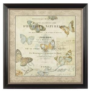 Agatiyo Framed Charming Butterfly Wall Art In Assorted