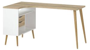 Oklo 2 Drawers Computer Desk In White And Oak