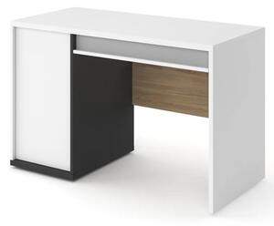 Indio Kids Wooden Computer Desk With 1 Door In Matt White