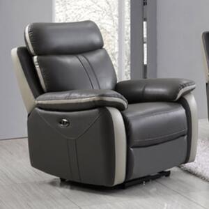 Caguas Electric Leather 1 Seater Sofa In Dual Tone Dark Grey