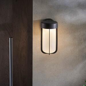 Adel Frosted Glass Shade LED Outdoor Wall Light In Bronze