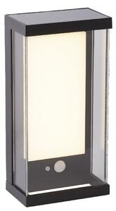 Solar LED White Polycarbonate Outdoor Wall Light In Black