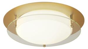 Alton LED Halo Ring Bathroom Flush Light In Gold