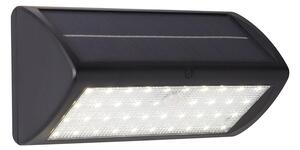 Solar LED White Polycarbonate Outdoor PIR Wall Light In Black