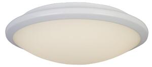 Knutsford Frosted Glass Flush Light In White