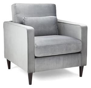 Manichean Plush Velvet Armchair In Grey