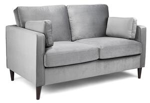 Manichean Plush Velvet 2 Seater Sofa In Grey