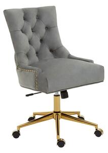 Anatolia Velvet Home And Office Chair With Gold Base In Grey