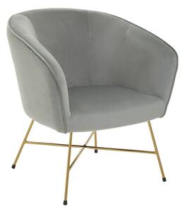 Porrima Velvet Upholstered Accent Chair In Grey