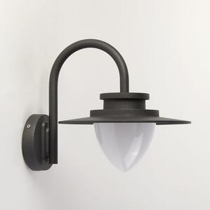 Texas Outdoor Wall Light In Graphite