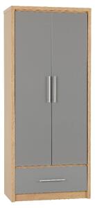 Samaira Wooden Wardrobe With 2 Door And Grey Gloss Front In Oak