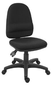 Earlville Twin High Back Fabric Home And Office Chair In Black