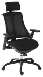 Raleigh Fabric Home And Office Chair In Black