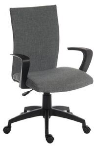 Webster Fabric Home And Office Chair In Grey