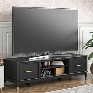 Wantagh Wooden TV Stand With 2 Doors In Black