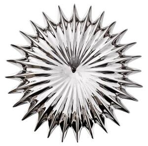 Wall Mounted Spikey Shell