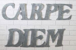 Wall Decoration Carpe Diem Metal Grey Set Of 2