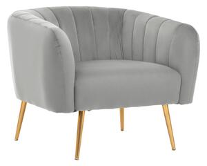 Larrisa Velvet Armchair With Gold Metal Legs In Grey