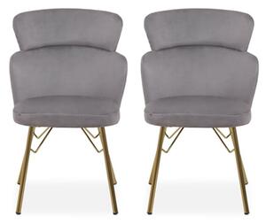 Vinita Upholstered Grey Velvet Bedroom Chairs In A Pair