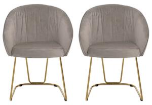 Vinita Upholstered Mink Velvet Dining Chairs In A Pair