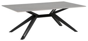 Kara Rectangular Stone Coffee Table With Black Metal Base