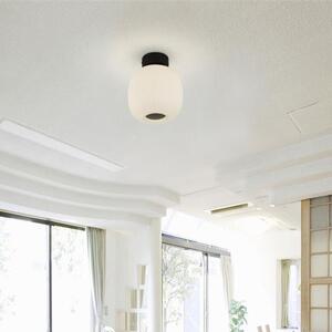 Lumina Ribbed Glass Flush Ceiling Light In White And Black