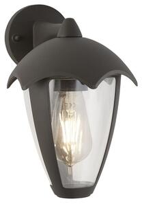 Bluebell Outdoor Polycarbonate Wall Light In Dark Grey