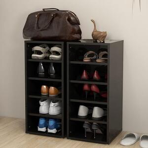 Antioch Set Of 2 High Gloss Shoe Storage Rack In Black