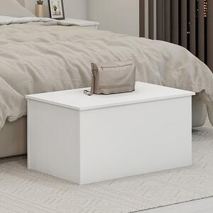 Mack Wooden Blanket Box In White Gloss Top