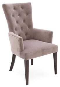 Pembroke Velvet Upholstered Armchair In Taupe