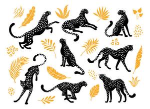 Photography Cheetahs silhouettes collection., Nadzeya_Dzivakova