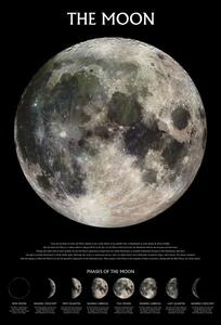 Poster The moon – stage of the moon, (61 x 91.5 cm)