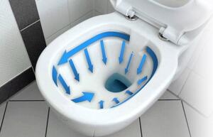 Set Toilet bowl WC CARLO Flat + Bidet CARLO MINI GOLD/WHITE