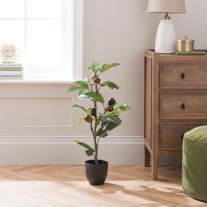 Artificial Fig Tree in Black Cement Plant Pot Green
