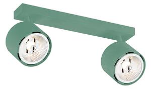 Argon Chloe downlight adjustable 2-bulb, green