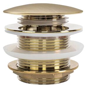 Bathtub Plug Rea Brush Gold
