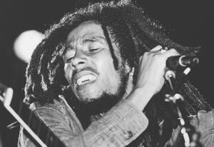 Photography Bob Marley Performs On Stage, Express Newspapers