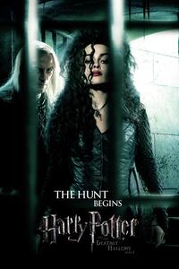 Art Poster Harry Potter - The hunt begins, (26.7 x 40 cm)