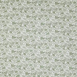 Prestigious Textiles Hollies Printed Fabric Willow