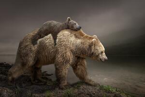 Photography BabyBear, Marcel Egger