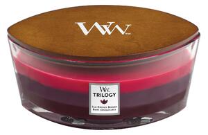 Woodwick Sun Ripened Berries Ellipse Candle Pink
